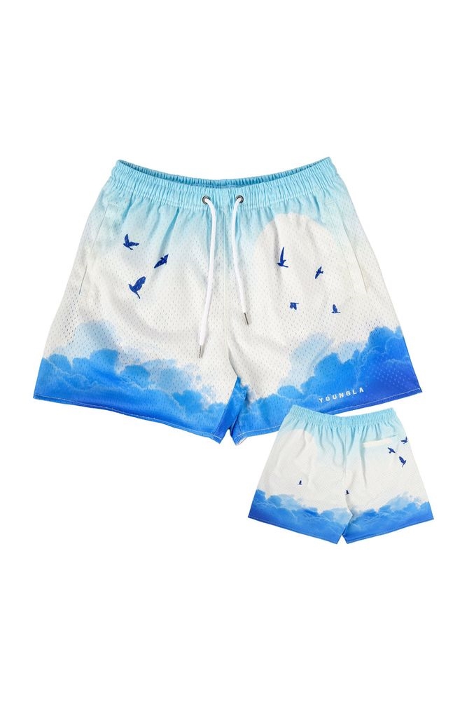 Young LA Shorts Canada Online - Mens 141 The Block Party Shorts Above the  Clouds